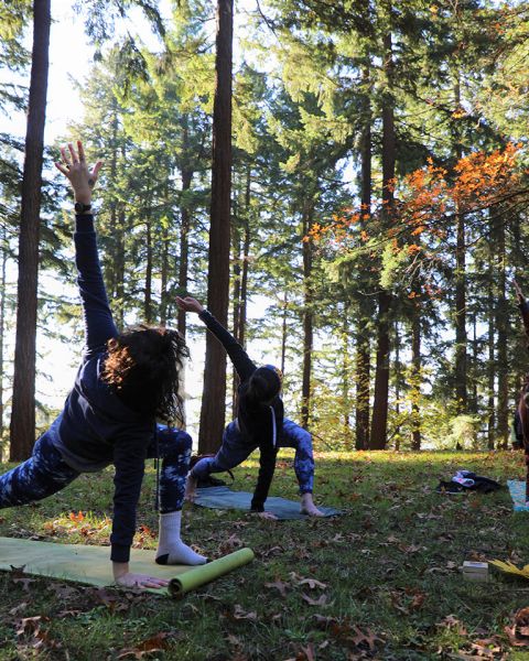 three people doing yoga surrounded by trees