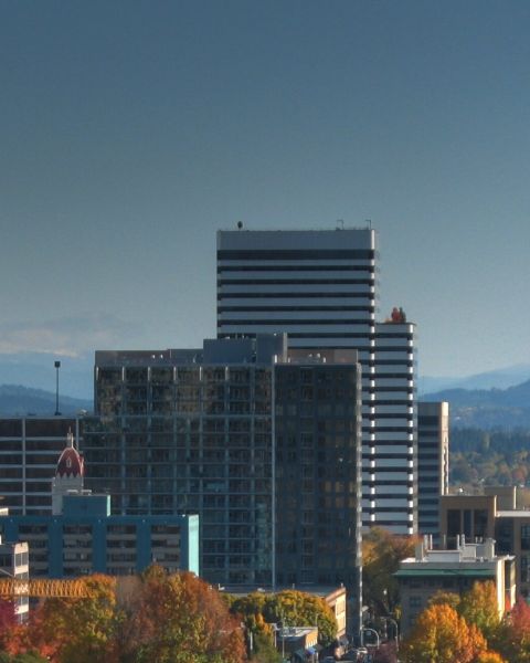 A view of city skyline with its trees a fiery autumn orange with a snow-capped mountain in the background.