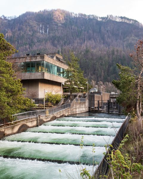 fish ladder with utilitarian building off to the side in front of a hillside with waterfalls and a winter forest