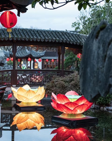 large lotus shaped lanterns sit in the water with people gazing over a koi pond in a traditional Chinese garden