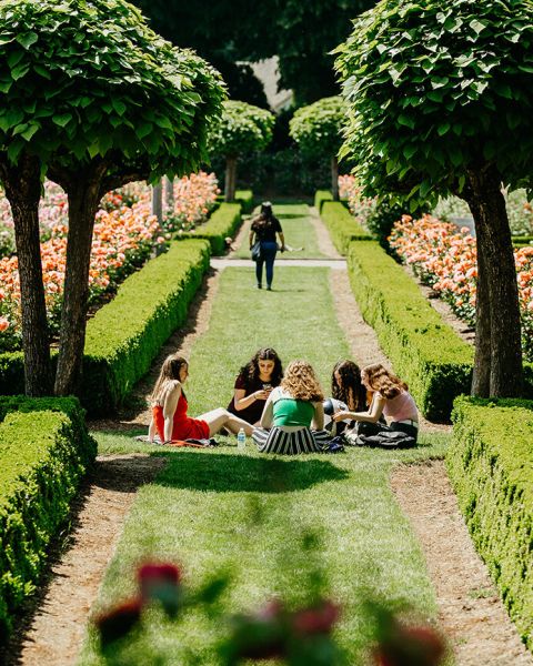 people lounging on the grass amid a variety of blooming roses at Peninsula Park Rose Garden