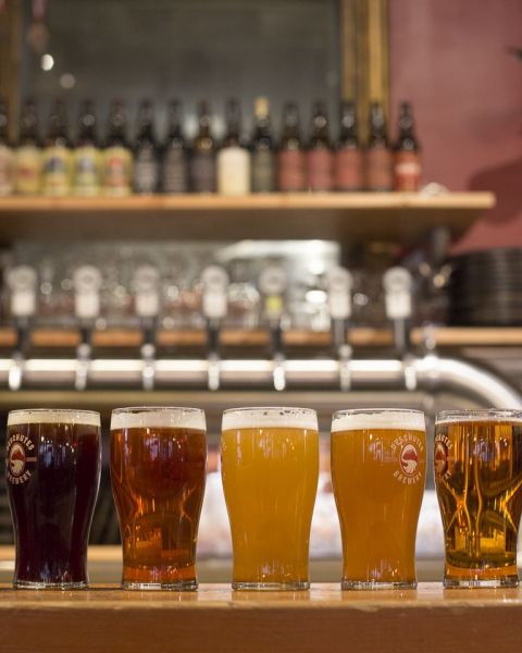 pints of beer lined up from dark to light on a bar top