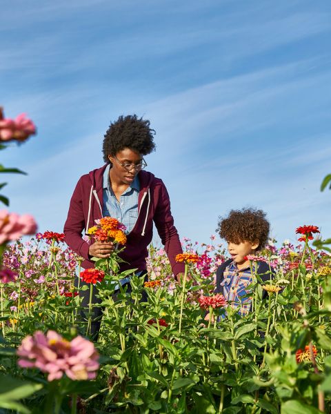 mother and child walking through a field of wildflowers