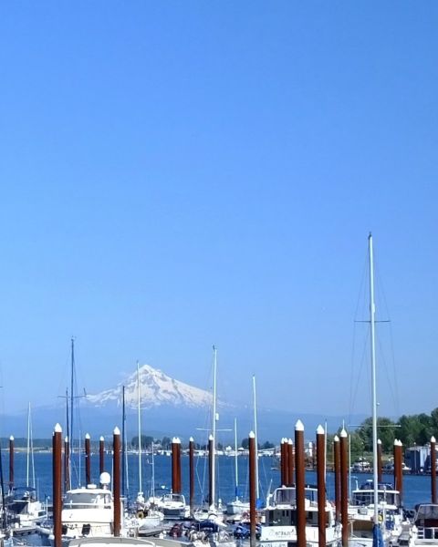 A crow sits on a pole above a marina full of boats, with a snowcapped mountain in the distance