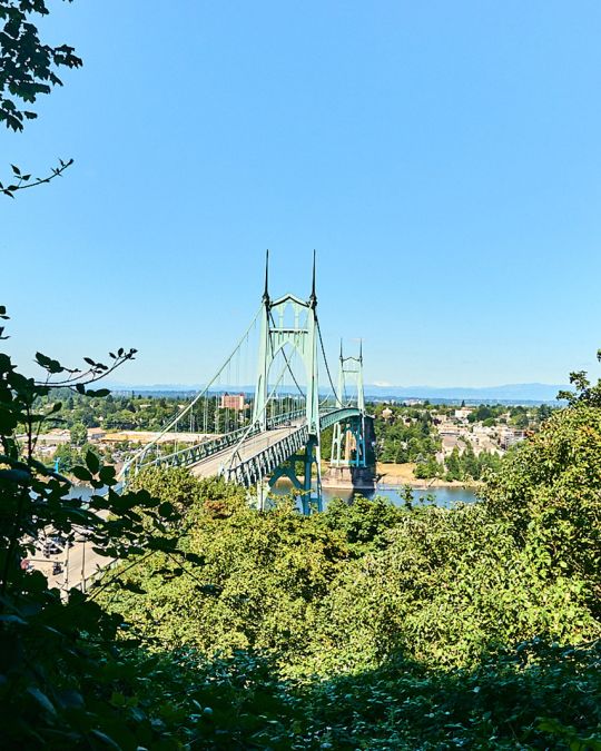 the light green st. johns bridge seen through trees