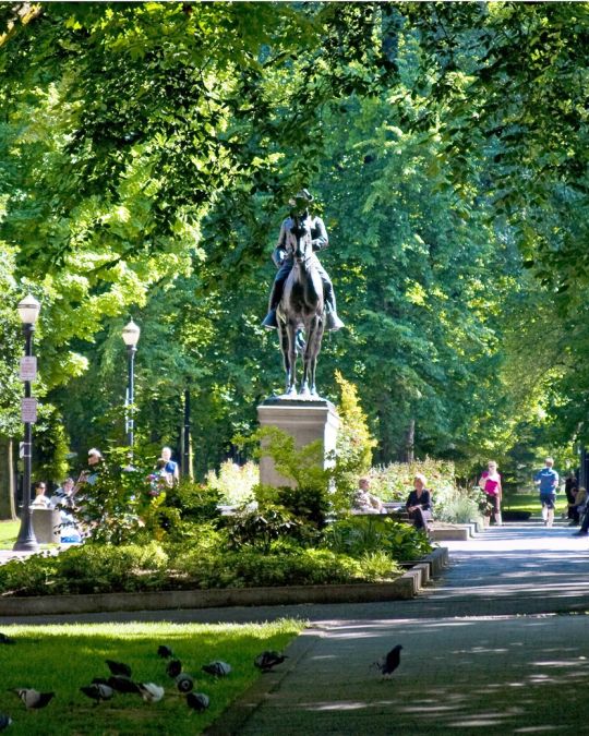 statue depicting Theodore Roosevelt on his horse in Portland\'s South Park Blocks