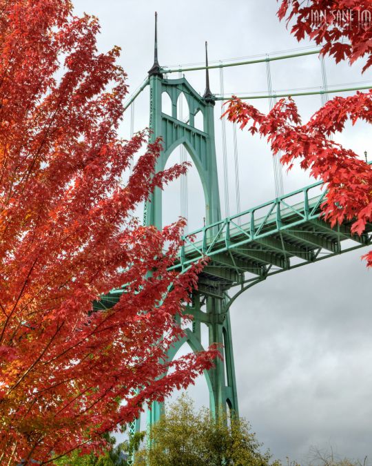 Maple trees with red leaves frame a light green bridge