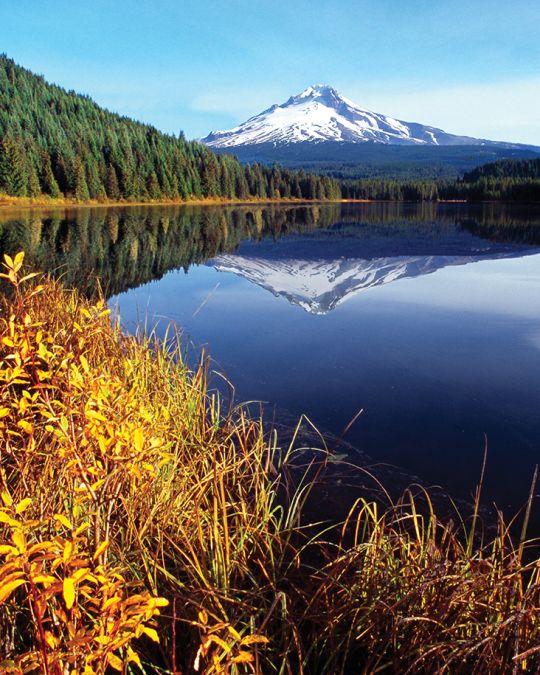 A snow-capped mountain is reflected in a lake with autumn foliage in the foreground