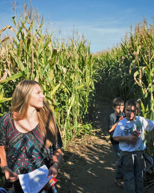 sauvie island pumpkin patch corn mazes