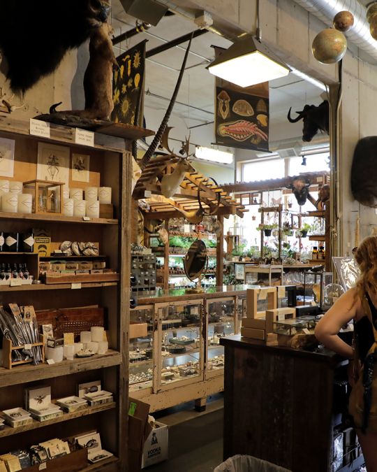 Portland's District": Magical Shops in One City Block | The Official Guide to Portland