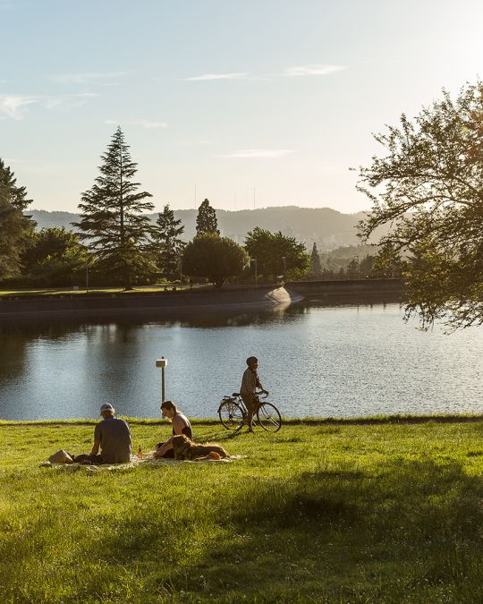 a biker and two picnicking people in front of a tree lined reservoir