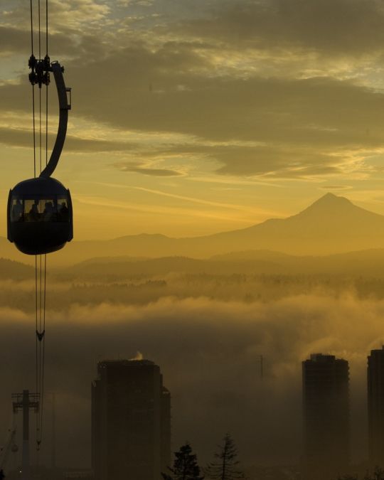 Portland Aerial Tram with Mt. Hood is visible in background horizon