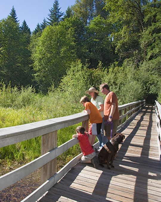 people on the Wildwood Recreation Site Wetland Boardwalk Trail.