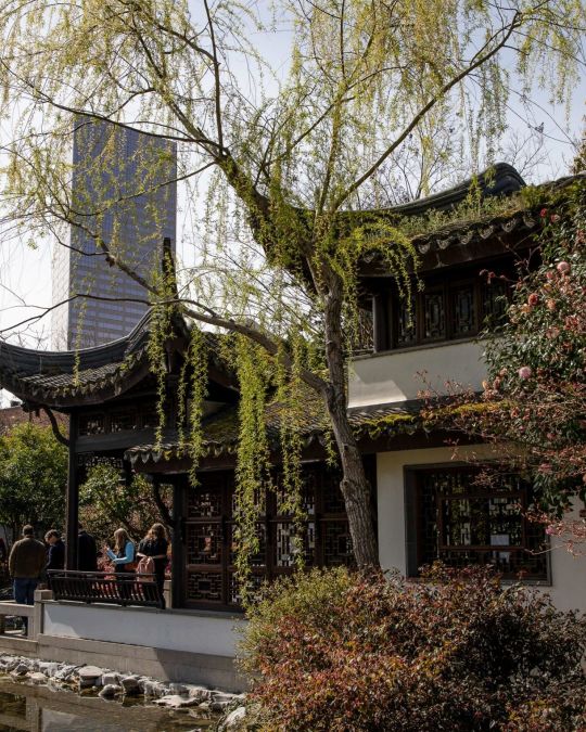 a group of people admiring trees and water in a Chinese garden
