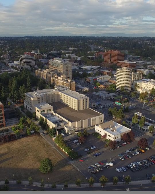 aerial view of a small downtown with about a dozen midrise buildings and a tree-filled park