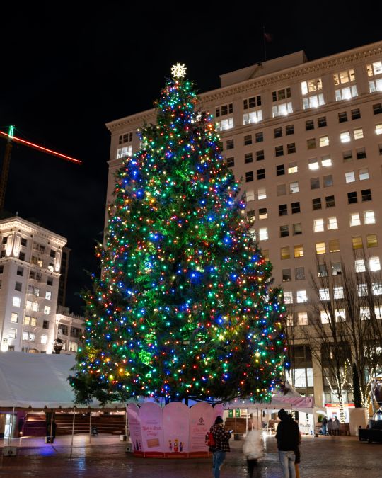 The Christmas tree that\'s put up each year in Pioneer Courthouse Square in downtown Portland lit up at night.