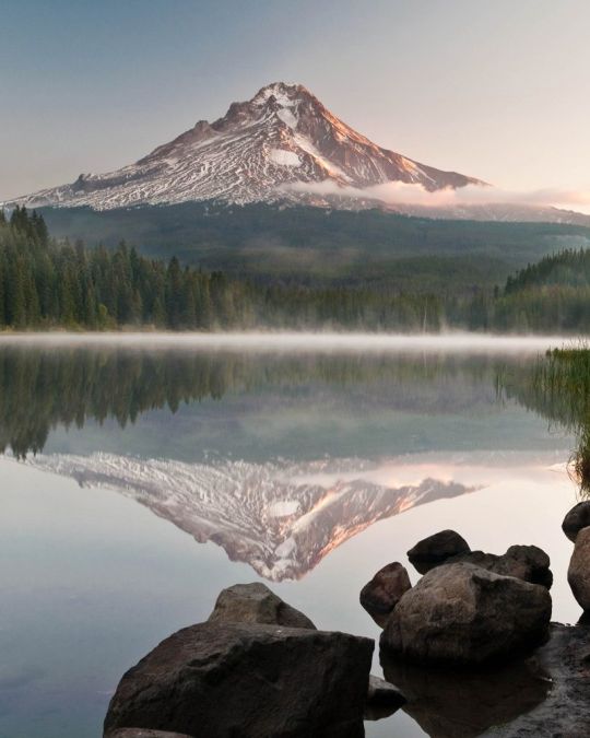 Mount Hood reflected in the water of Trillium lake