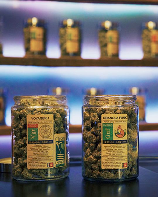 jars full of cannabis on display on shelves