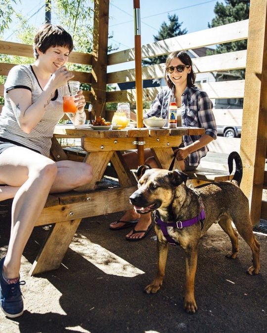 Fire Island Grill - Hikes Dogs Love