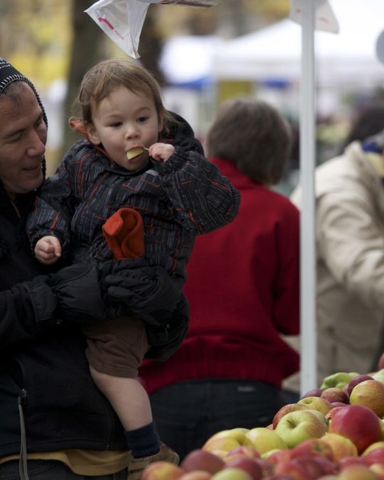 A child enjoying a free sample from the many different and colorful apples at the Portland Farmers Market.