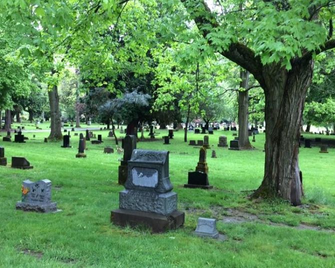 A grassy cemetery with headstones and large trees.