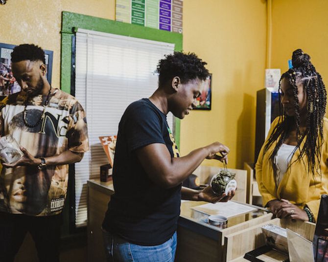 several people working with cannabis inside a colorful dispensary