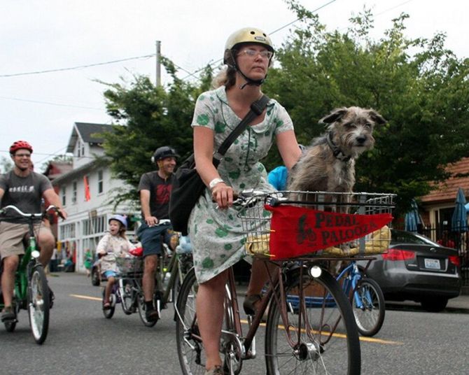 a woman riding in front of a group of cyclists with a dog in her bike basket