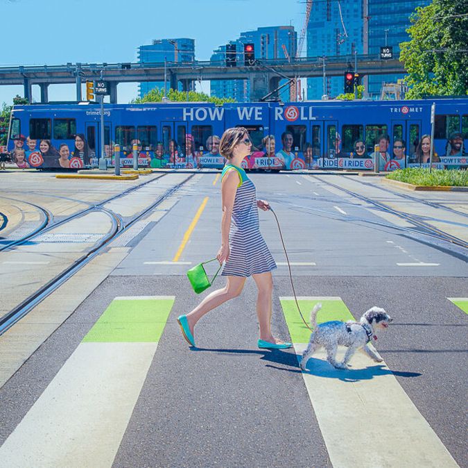 a person walking a dog across a city street