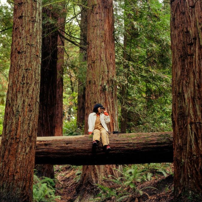 a person sits on a fallen tree and looks through binoculars