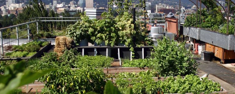 a rooftop garden with the downtown Portland skyline in the background