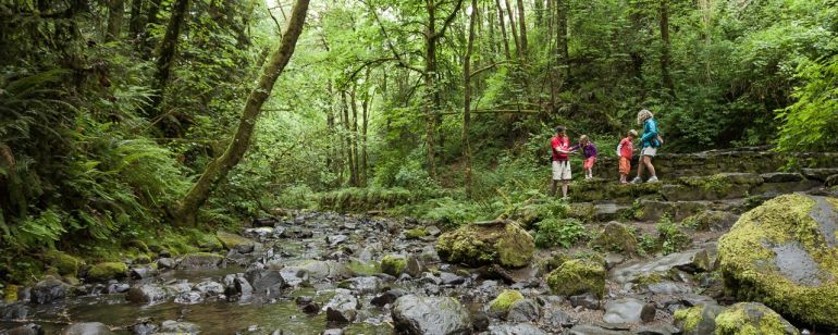 A family with two small children a hike along a tree-shaded stream.
