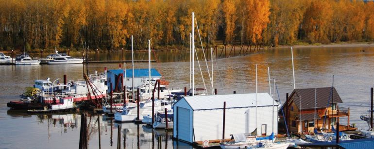 floating homes and house boats on the water