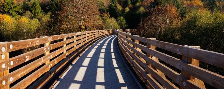 a pathway with railings in nature