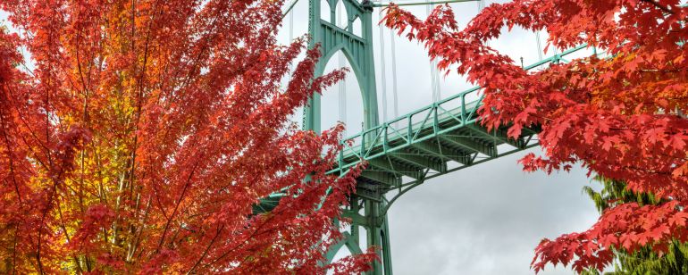 Maple trees with red leaves frame a light green bridge