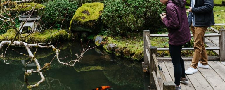 people look at koi in pond at garden