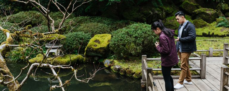 people look at koi in pond at garden