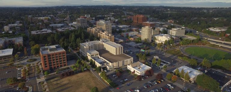 aerial view of a small downtown with about a dozen midrise buildings and a tree-filled park