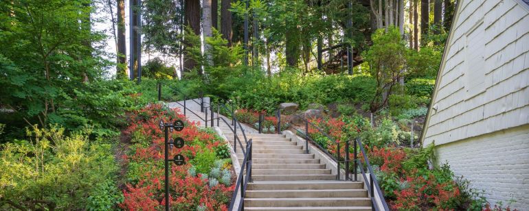 stairs up a hillside covered in bright blooms of flowers and fresh spring growth on trees