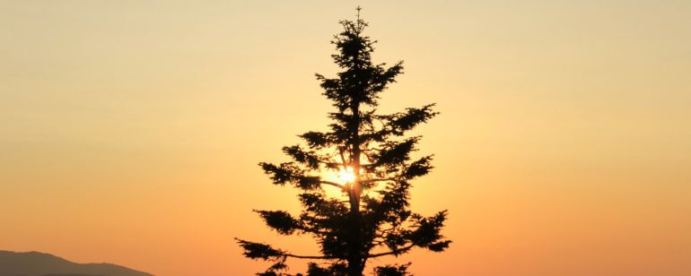 Sunrise at Soda Mountain