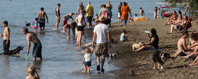 families gathered at Willamette River beach