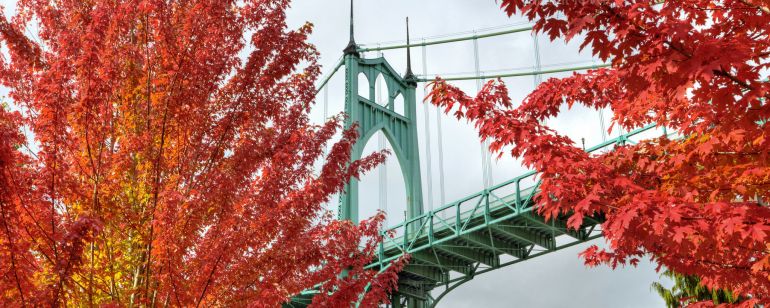 Maple trees with red leaves frame a light green bridge