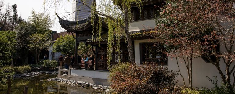 trees in spring at chinese garden in urban center