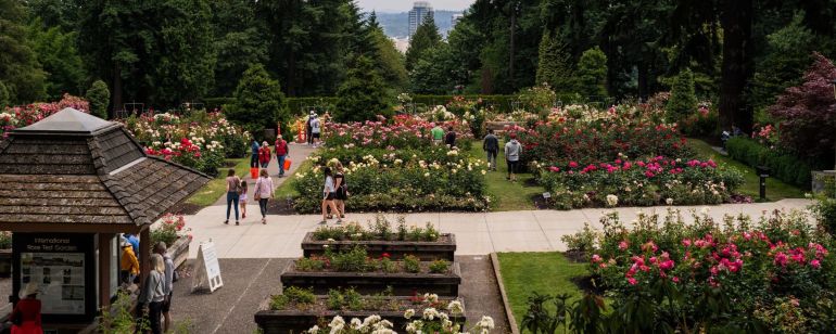 people on sidewalk of rose garden with city views in background