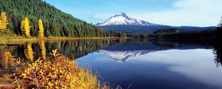 A snow-capped mountain is reflected in a lake with autumn foliage in the foreground