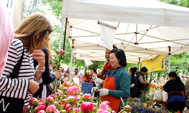 woman looking at flowers for sale