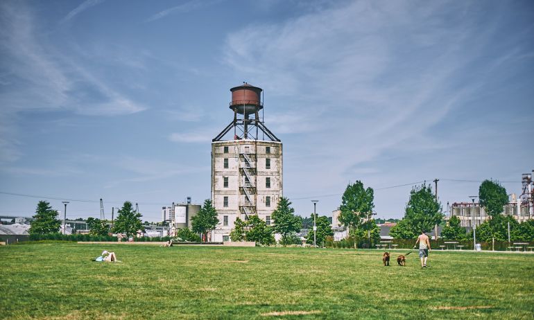 People lounging and walking dogs on the green lawn of a park in front of a large water tower