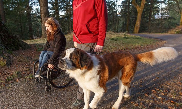 a girl in a wheelchair on nature trail with a man and a dog