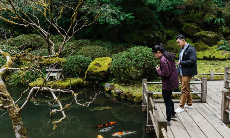 people look at koi in pond at garden