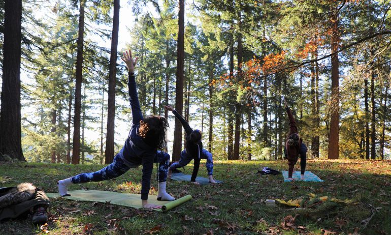 three people doing yoga surrounded by trees