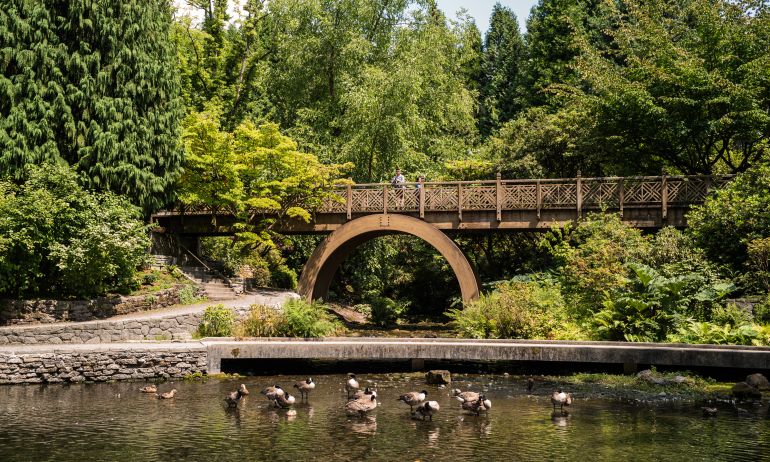 tall bridge with circular bracing above a pond with ducks amid a forested park